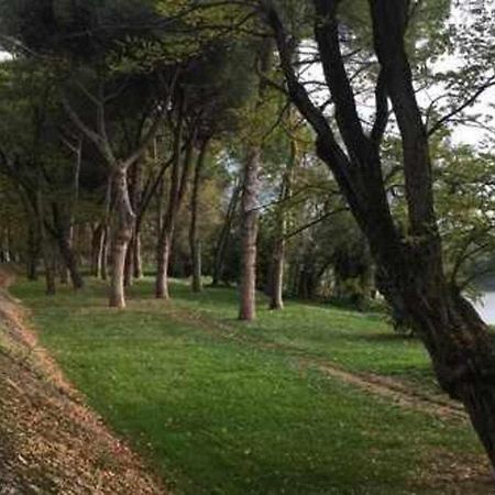 Pisa Appartamento Bonaini Exteriér fotografie