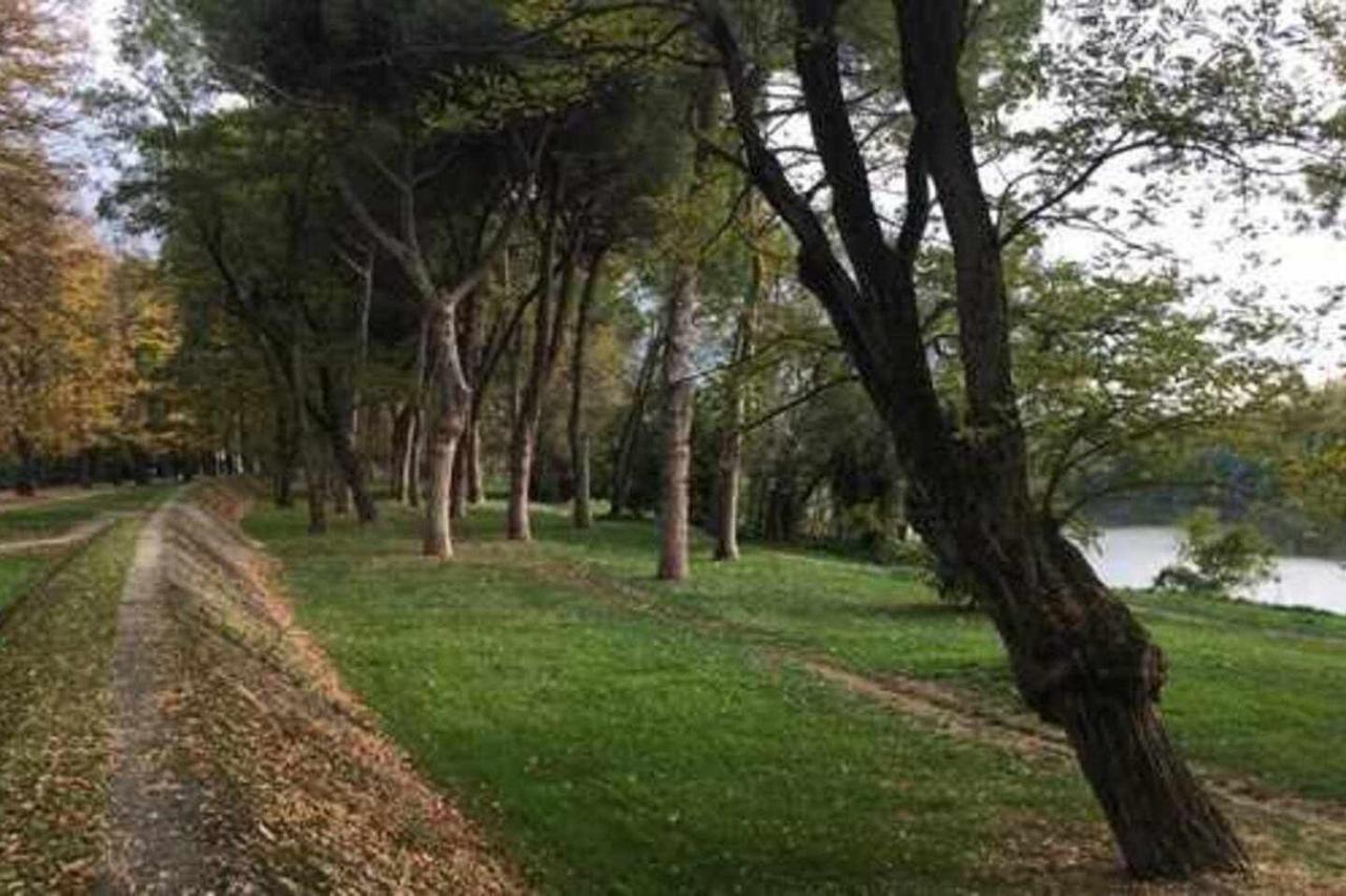 Pisa Appartamento Bonaini Exteriér fotografie